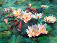 Water Lilies V